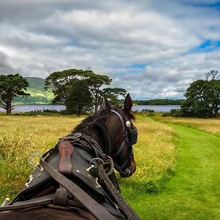 فندق Hotel Killarney