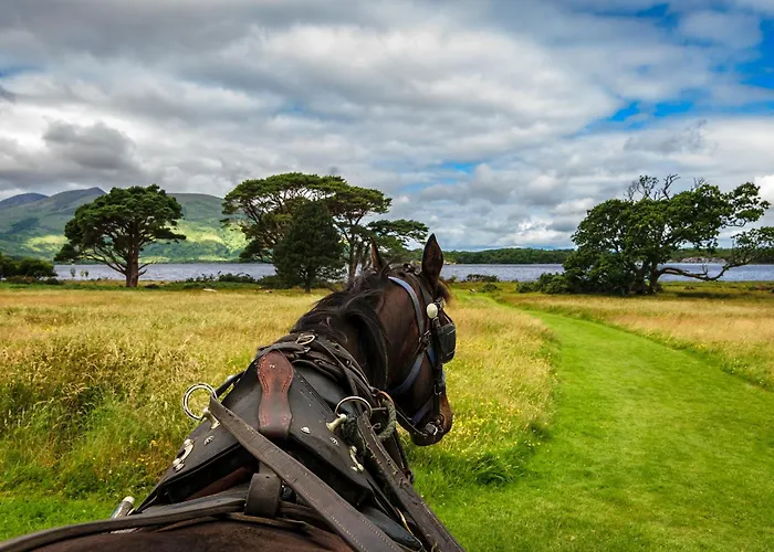 Szálloda Hotel Killarney